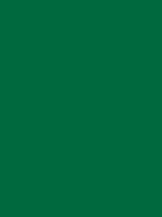 #00693e color image