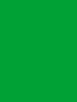 #00a135 color image