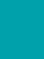 #00a2aa color image