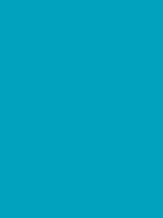 #00a2be color image