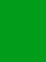 #019c19 color image