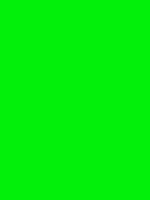 #02f00a color image
