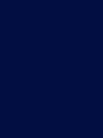 #030d41 color image