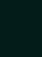 #041c19 color image