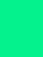 #04f28d color image