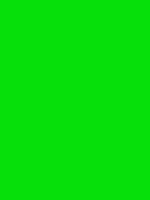 #06e00a color image