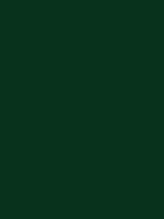 #08321b color image