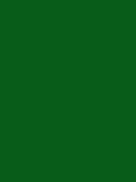 #085c19 color image