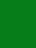 #087c19 color image