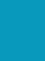 #0899bc color image