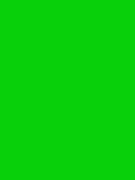 #08d00a color image