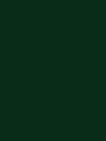 #092c19 color image