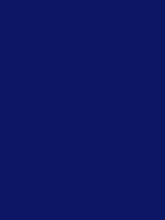 #0c1663 color image