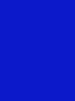#0c19ca color image