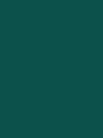 #0c514b color image
