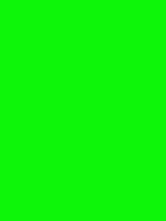 #0df609 color image
