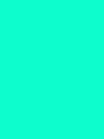 #0dfdcd color image