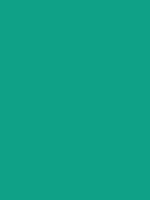 #0fa187 color image
