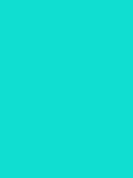 #10ded1 color image
