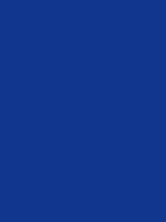#11368e color image