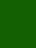#136102 color image