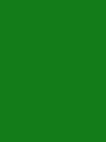 #137c19 color image