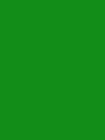 #148c19 color image