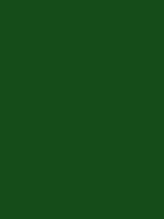 #154c19 color image