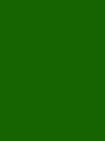 #166301 color image