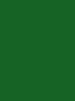 #166325 color image