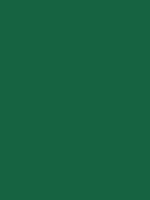 #166340 color image