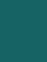 #166364 color image