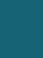 #166375 color image