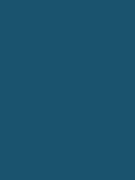 #17536c color image