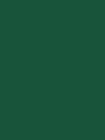 #17543a color image