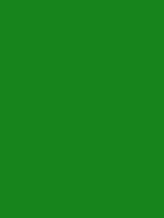 #17841c color image