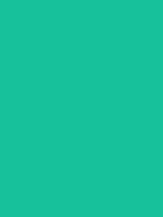 #17c19b color image