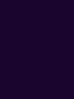 #19052d color image