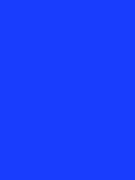 #193dfd color image