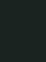 #1a2421 color image
