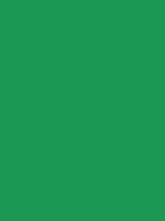 #1a9952 color image