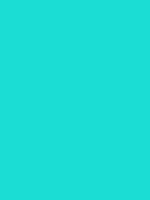 #1adcd2 color image