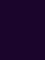 #1b052d color image