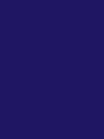 #1f1663 color image