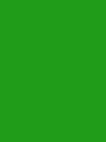 #209c19 color image