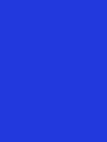 #2139dd color image
