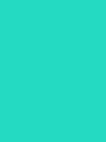#24dac2 color image