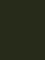 #262c19 color image