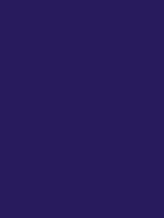 #281b5d color image