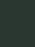 #28362d color image